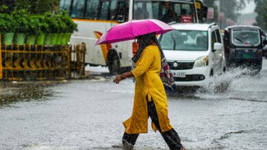 Eight Uttarakhand districts on yellow alert for rainfall, gusty winds