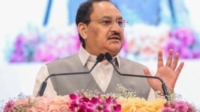 Chemicals and petrochemicals sector needs to reach  trillion by 2040: JP Nadda