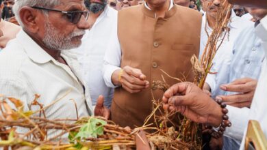 Oppn, farmers slam Mahayuti Govt over Rs 5,000 aid to drought-hit Maha growers; term it cruel joke