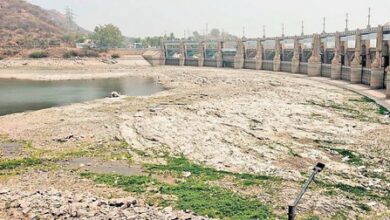 TN dams at 34 pc capacity; drinking water concerns mount TN dams at 34 pc capacity; drinking water concerns mount