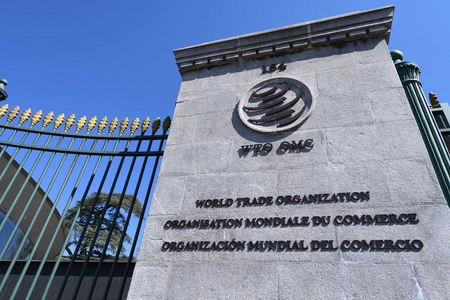 Brazil pushes WTO reform, opposes coercive tariffs Brazil pushes WTO reform, opposes coercive tariffs