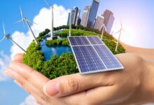 Energy security needs diversification, domestic capacity expansion: Rajiv Gauba