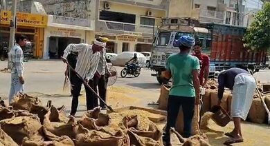 ‘Will overcome problems caused due to rainfall deficit’: Farmers relieved with MSP hike for rabi crops