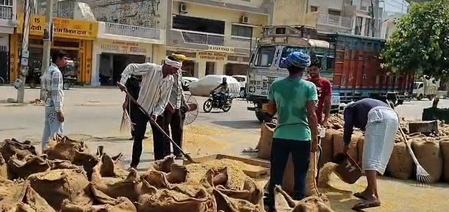 ‘Will overcome problems caused due to rainfall deficit’: Farmers relieved with MSP hike for rabi crops ‘Will overcome problems caused due to rainfall deficit’: Farmers relieved with MSP hike for rabi crops