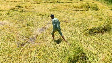 Maha govt declares surveys in 19 more talukas beyond declared drought areas Maha govt declares surveys in 19 more talukas beyond declared drought areas