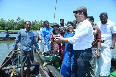 CMFRI project offers fresh hope for declining Vembanad black clam