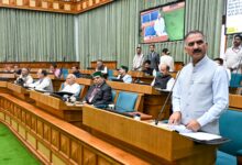 Himachal govt raises apple procurement price, announces higher milk support rate