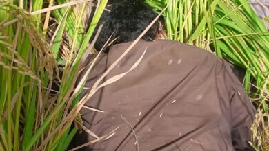 BSF thwarts infiltration bid at Punjab border, shoots two Pakistani intruders dead (Lead) BSF thwarts infiltration bid at Punjab border, shoots two Pakistani intruders dead (Lead)