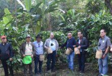 NEC Secretary stresses integrated approach to boost coffee farmers’ income in Nagaland NEC Secretary stresses integrated approach to boost coffee farmers’ income in Nagaland