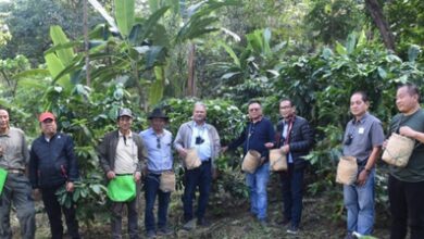 NEC Secretary stresses integrated approach to boost coffee farmers’ income in Nagaland NEC Secretary stresses integrated approach to boost coffee farmers’ income in Nagaland