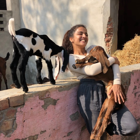 Wamiqa Gabbi urges kindness towards animals: Let’s make this world a little safer Wamiqa Gabbi urges kindness towards animals: Let’s make this world a little safer