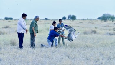 Milestone move: Union Minister Bhupender Yadav releases two rare Great Indian Bustards in Jaisalmer Milestone move: Union Minister Bhupender Yadav releases two rare Great Indian Bustards in Jaisalmer