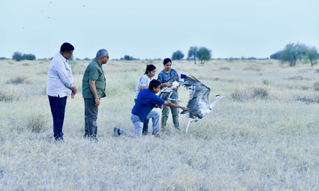 Milestone move: Union Minister Bhupender Yadav releases two rare Great Indian Bustards in Jaisalmer