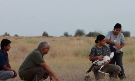 No words of praise enough for them: Environment Minister extols scientists after Great Indian Bustards release No words of praise enough for them: Environment Minister extols scientists after Great Indian Bustards release
