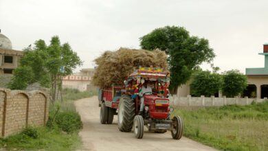 Pakistan needs to modernise agriculture sector to counter food insecurity: Report Pakistan needs to modernise agriculture sector to counter food insecurity: Report