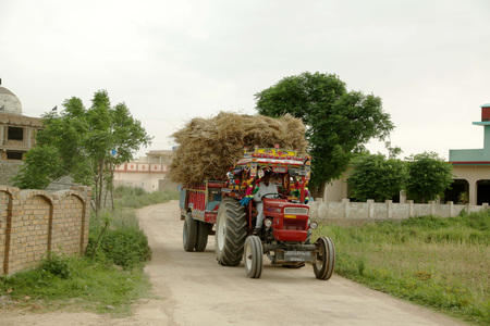 Pakistan needs to modernise agriculture sector to counter food insecurity: Report