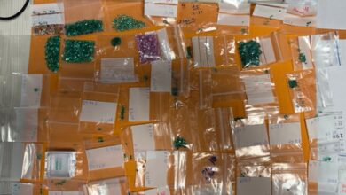 Delhi Customs seize precious stones worth Rs 2.02 crore from passenger arriving from Bangkok