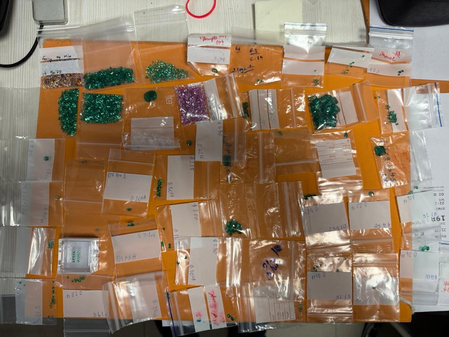 Delhi Customs seize precious stones worth Rs 2.02 crore from passenger arriving from Bangkok Delhi Customs seize precious stones worth Rs 2.02 crore from passenger arriving from Bangkok