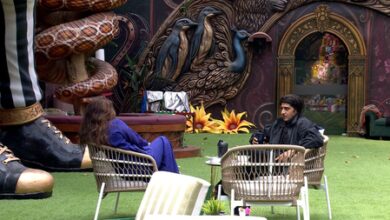 Bigg Boss 20: Mahhi Vij calls Aman Uditi Singh’s ‘sidekick’ and PR, Qazi Touqeer agrees