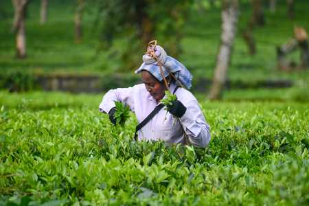 Tech innovation drives India’s post-2015 farm growth to 4.5 pc average: Report Tech innovation drives India’s post-2015 farm growth to 4.5 pc average: Report