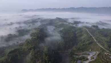 El Nino, Atlantic warming could offer early warning of Amazon heat: Study