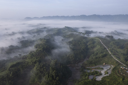 El Nino, Atlantic warming could offer early warning of Amazon heat: Study El Nino, Atlantic warming could offer early warning of Amazon heat: Study