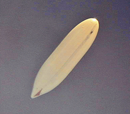 DRDO successfully tests indigenous High-Altitude Airship at 21 km