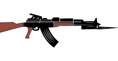 Andhra constable injured as gun misfires during Defence Minister’s Vizag visit