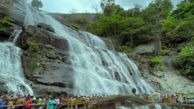 TN: Courtallam waterfalls closed for public as repair work resumes