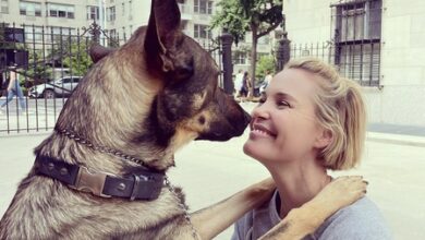 Leslie Bibb heartbroken over furry friend’s death: Home will never feel quite the same