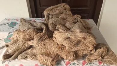 Uttarakhand: Silk yarn spinning generates employment for women members of SHGs in Kumaon Uttarakhand: Silk yarn spinning generates employment for women members of SHGs in Kumaon