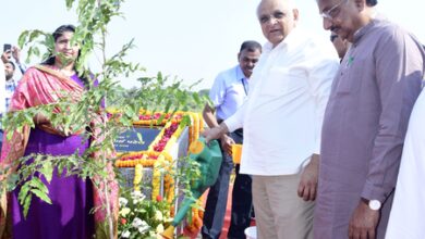 Ahmedabad civic body completes 50-lakh tree plantation target; CM Patel joins drive