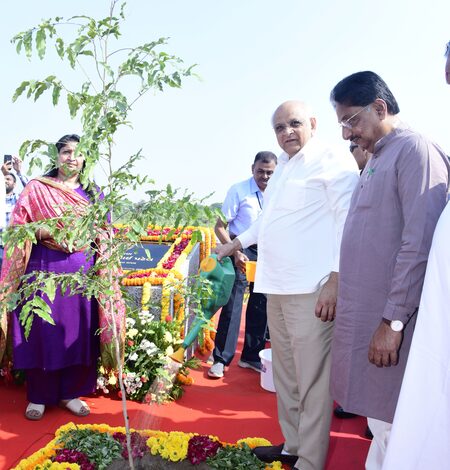 Ahmedabad civic body completes 50-lakh tree plantation target; CM Patel joins drive Ahmedabad civic body completes 50-lakh tree plantation target; CM Patel joins drive