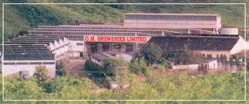 GM Breweries Q2 results: Shares tank nearly 7 pc after margin decline GM Breweries Q2 results: Shares tank nearly 7 pc after margin decline