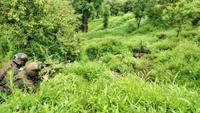 Army detects and destroys landmine along LoC in J&K’s Poonch