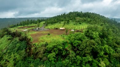 Gujarat approves Rs 1,331 crore irrigation project for 46 tribal villages in Valsad