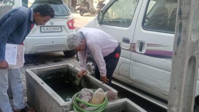 Gujarat: Rajkot civic body identifies 10,333 potential mosquito breeding sites through drone surveys