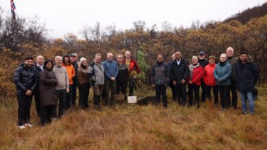 MoS Kirti Vardhan Singh plants sacred sapling under ‘Ek Ped Maa Ke Naam’ initiative in Iceland