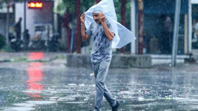 J&K: Forecast for snowfall in higher reaches, rain in plains