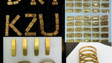 DRI seizes 7.8 kg smuggled gold worth Rs 11.5 crore, arrests 6 DRI seizes 7.8 kg smuggled gold worth Rs 11.5 crore, arrests 6