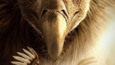 Ranbir Kapoor’s Ramayana makers unveil first poster of Anupam Kher as Jatayu