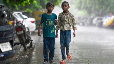 Light rain, strong winds likely in Delhi-NCR from Thursday; temperature to dip
