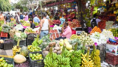 India’s wholesale inflation stands at 11.39 pc in September: Govt India’s wholesale inflation stands at 11.39 pc in September: Govt