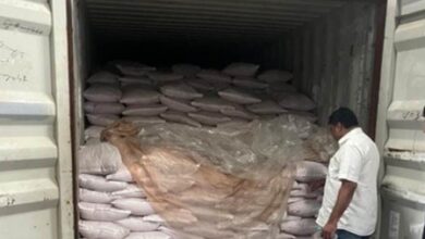 DRI busts illegal import of Pakistan-origin rock salt worth Rs 30 crore, 4 arrested