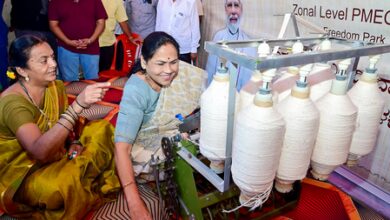 Women own 38 pc of registered MSMEs with 3.69 crore enterprises, labour force participation surge Women own 38 pc of registered MSMEs with 3.69 crore enterprises, labour force participation surge