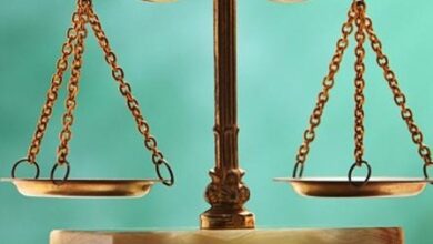 Maternity leave a right that fosters mother-child bonding: Rajasthan HC