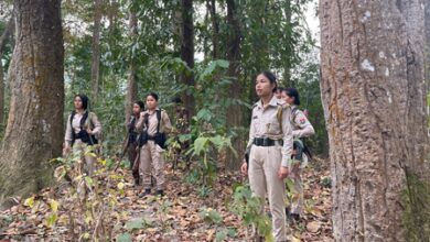CM Sarma highlights Kaziranga’s ‘Van Durgas’, says women protecting forests guard Assam’s identity CM Sarma highlights Kaziranga’s ‘Van Durgas’, says women protecting forests guard Assam’s identity