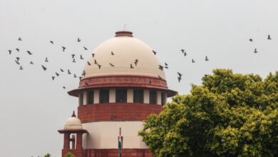 SC orders fresh elections in two more Patiala municipal wards SC orders fresh elections in two more Patiala municipal wards
