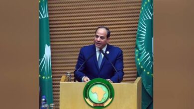 Egypt’s National Defense Council decides to support Saudi security