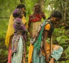How Gujarat tribal village revived its forests, inspired 65 others